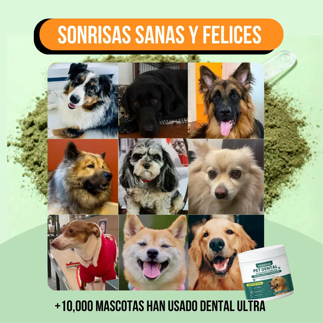 Pet Dental™ - El fin definitivo al mal aliento de tu perro en 3 semanas