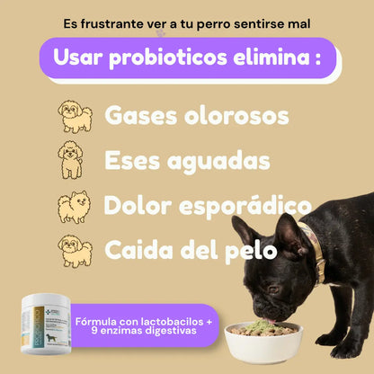 Probióticos para Perros · Adiós Diarrea, Gases y Panza Revuelta