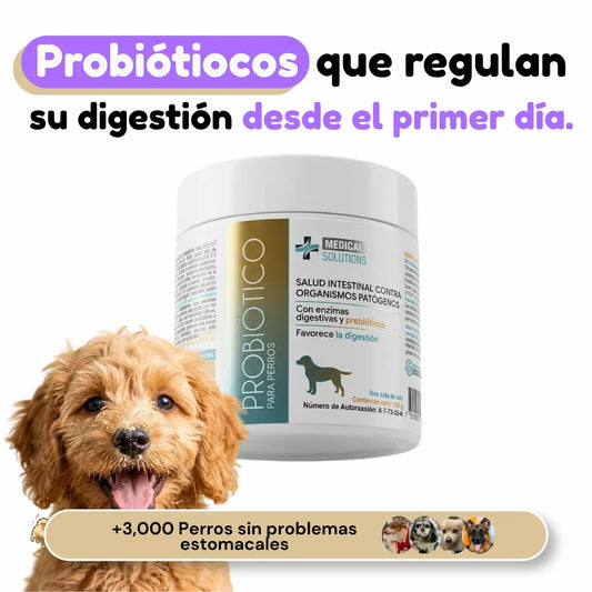 Probióticos para Perros · Adiós Diarrea, Gases y Panza Revuelta