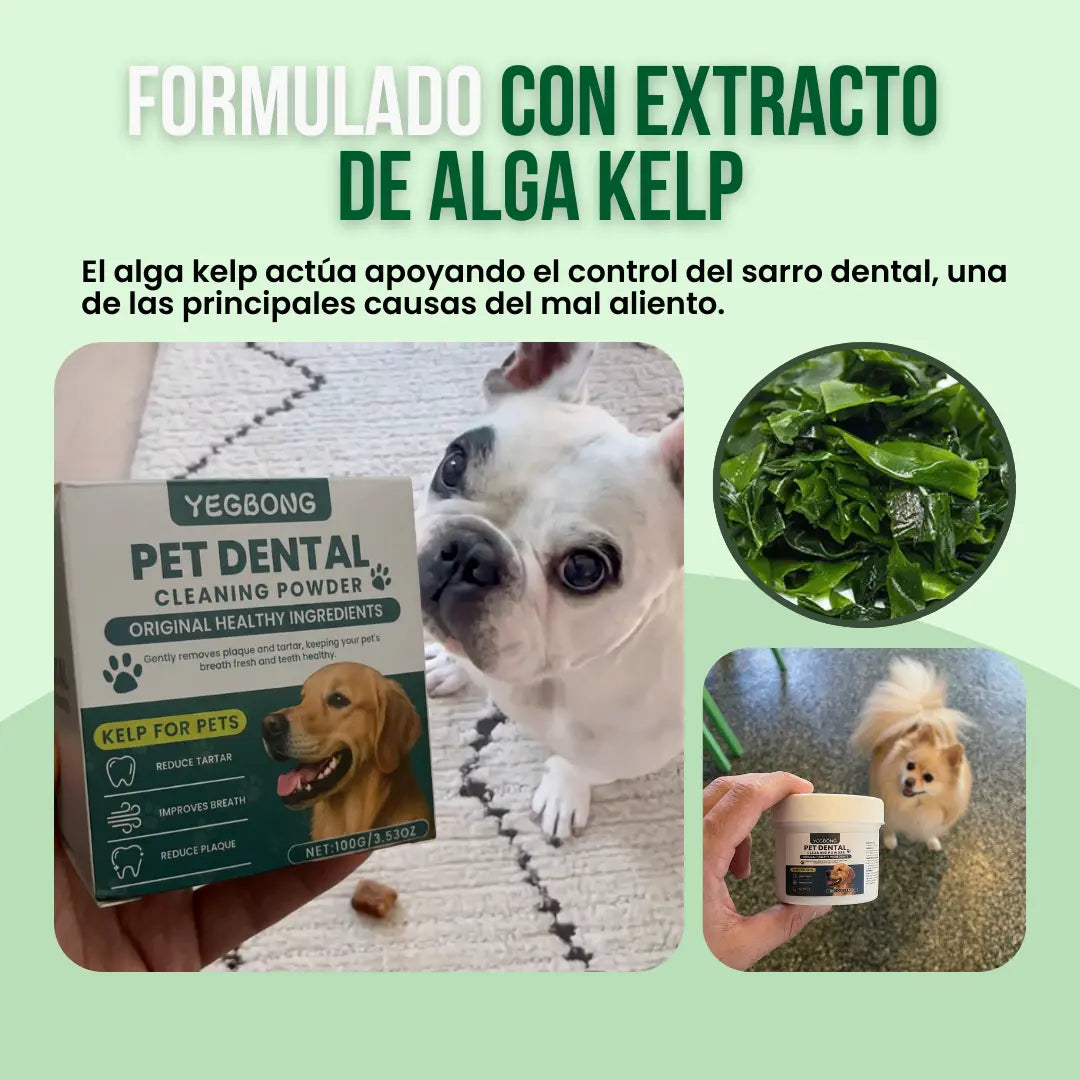 Pet Dental™ - El fin definitivo al mal aliento de tu perro en 3 semanas