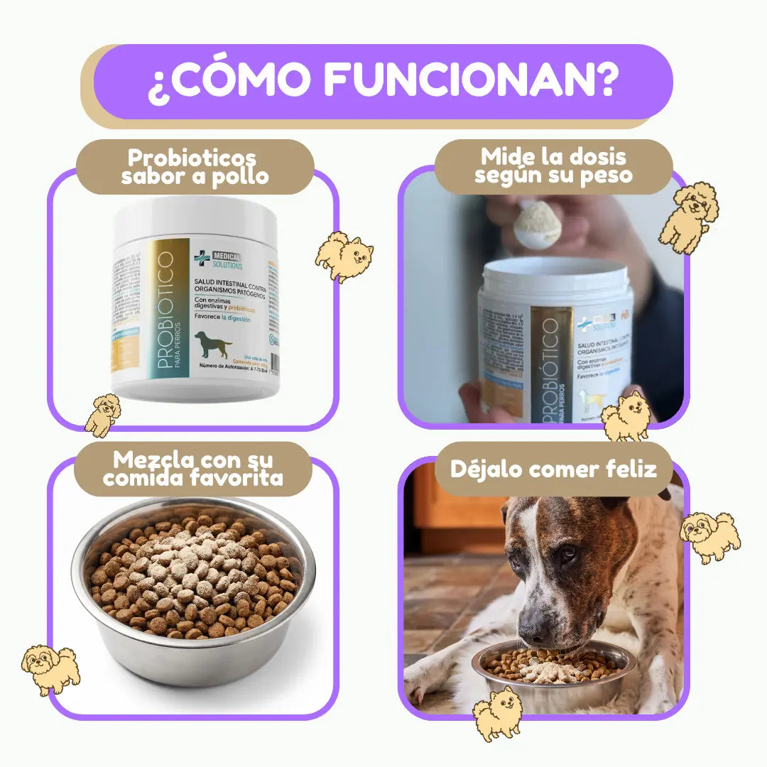 Probióticos para Perros · Adiós Diarrea, Gases y Panza Revuelta