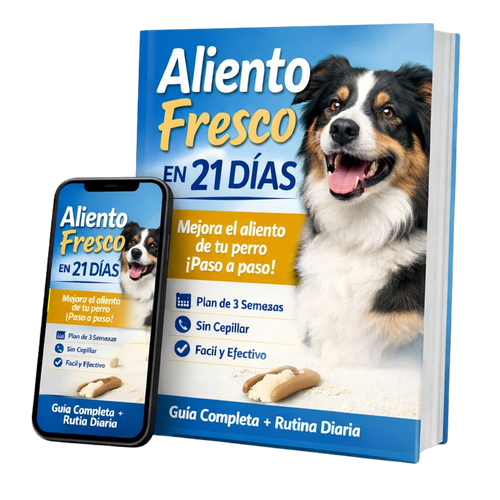 Ebook - Aliento Fresco en 21 Días