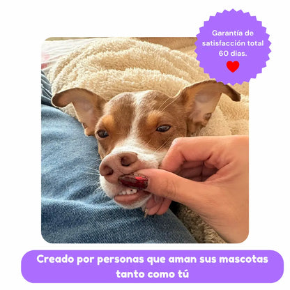 Probióticos para Perros · Adiós Diarrea, Gases y Panza Revuelta