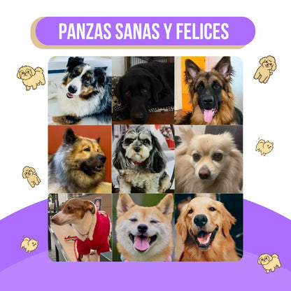 Probióticos para Perros · Adiós Diarrea, Gases y Panza Revuelta
