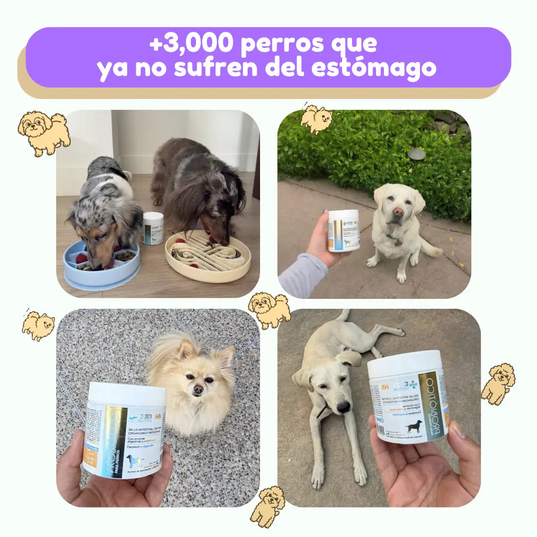 Probióticos para Perros · Adiós Diarrea, Gases y Panza Revuelta
