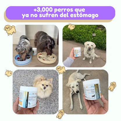 Probióticos para Perros · Adiós Diarrea, Gases y Panza Revuelta